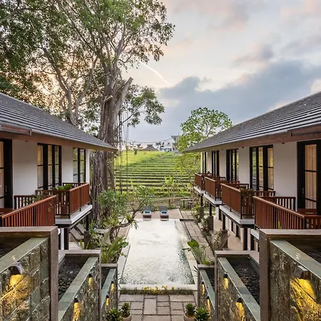 Paripadi Studio Canggu